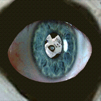 An Infinite Loop of an Astronaut's Eyeball or Something